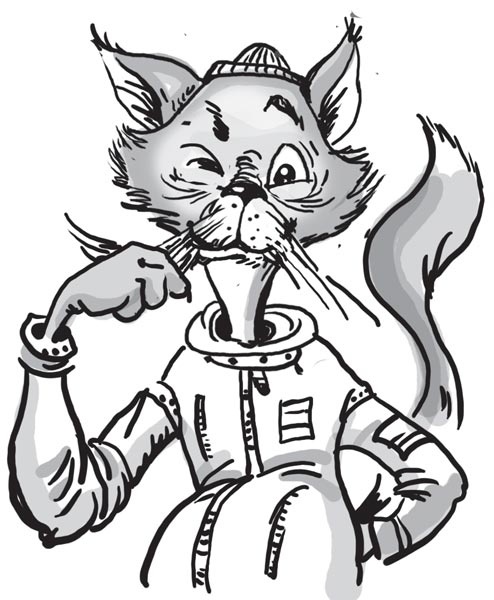 Иллюстрация к книге — Космические коты. Планета сияющего неба [i_050.jpg]