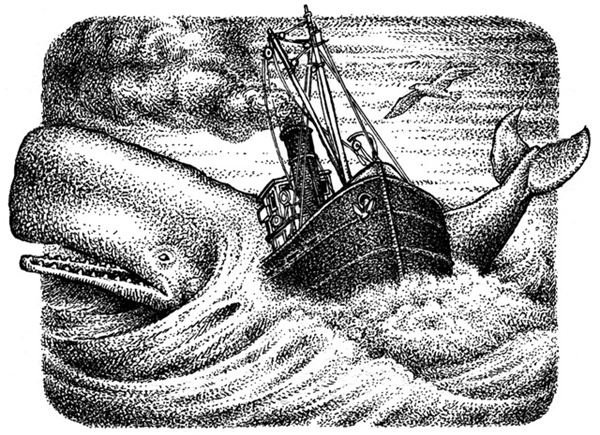 Иллюстрация к книге — Правда о Салли Джонс [i_018.jpg]