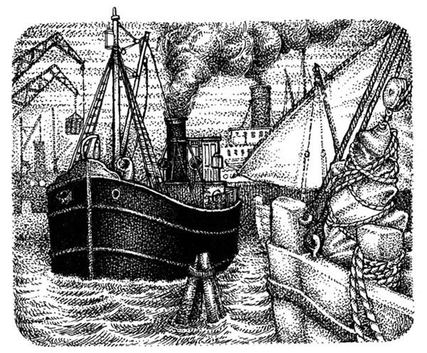 Иллюстрация к книге — Правда о Салли Джонс [i_020.jpg]