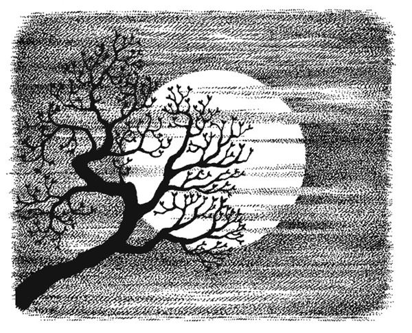 Иллюстрация к книге — Правда о Салли Джонс [i_035.jpg]