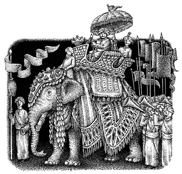 Иллюстрация к книге — Правда о Салли Джонс [i_071.jpg]