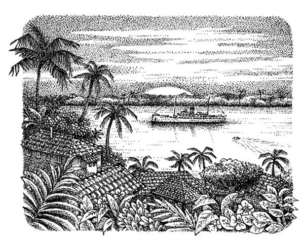 Иллюстрация к книге — Правда о Салли Джонс [i_077.jpg]