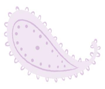 Иллюстрация к книге — Секрет говорящего какаду [i_018.jpg]