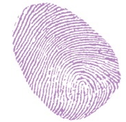 Иллюстрация к книге — Секрет говорящего какаду [i_117.jpg]