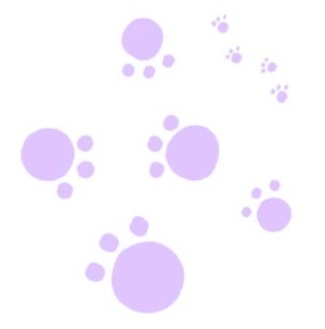 Иллюстрация к книге — Тайна Жемчужины Востока [i_030.jpg]