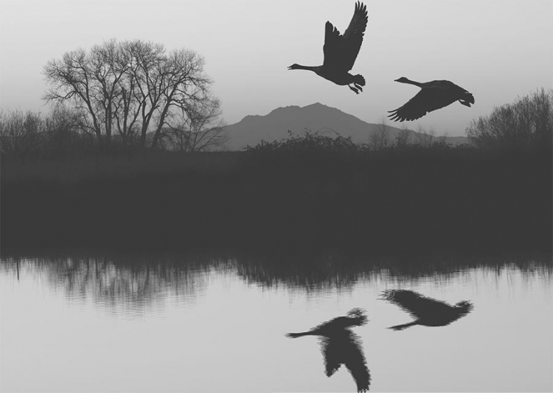 Иллюстрация к книге — Изгнание дьявола из моей лучшей подруги [i_003.jpg]