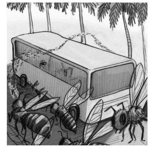 Иллюстрация к книге — Джордж и корабль времени [i_026.jpg]