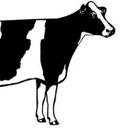 Иллюстрация к книге — Джордж и корабль времени [i_081.jpg]