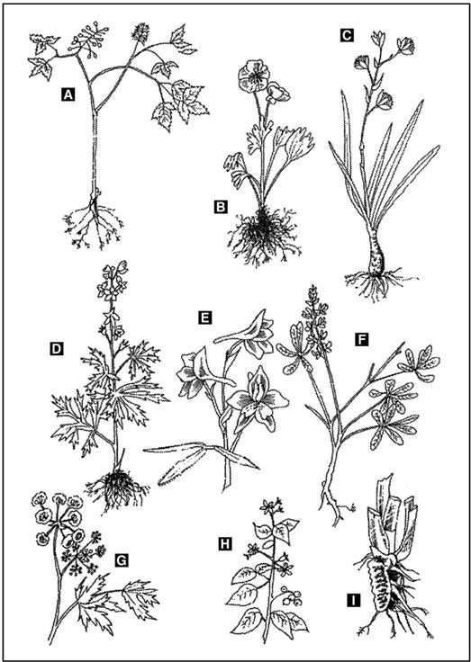 Иллюстрация к книге — Выживание в экстремальных ситуациях. Опыт SAS [i_018.jpg]