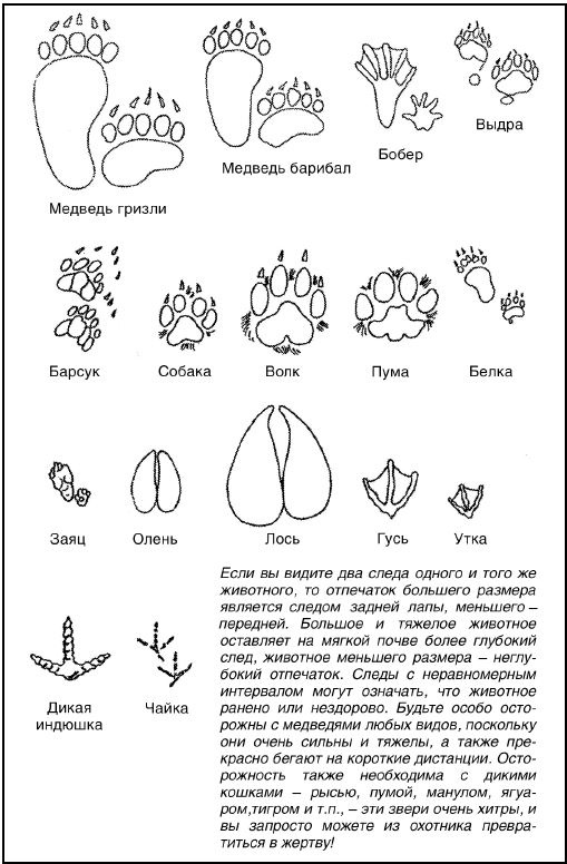 Иллюстрация к книге — Выживание в экстремальных ситуациях. Опыт SAS [i_022.jpg]