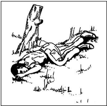 Иллюстрация к книге — Выживание в экстремальных ситуациях. Опыт SAS [i_045.jpg]