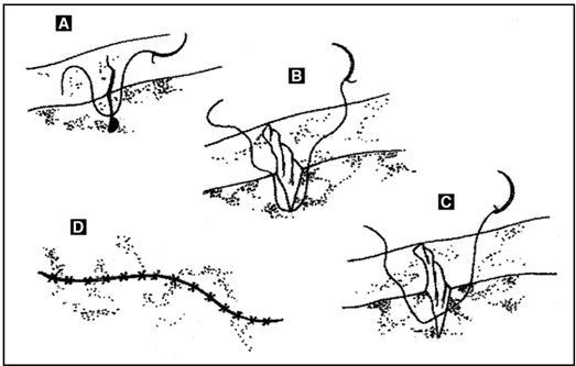 Иллюстрация к книге — Выживание в экстремальных ситуациях. Опыт SAS [i_054.jpg]