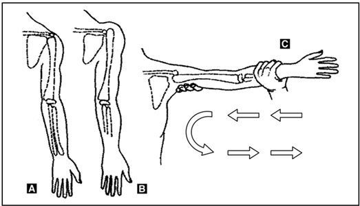 Иллюстрация к книге — Выживание в экстремальных ситуациях. Опыт SAS [i_056.jpg]