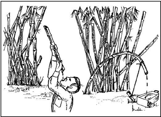 Иллюстрация к книге — Выживание в экстремальных ситуациях. Опыт SAS [i_101.jpg]