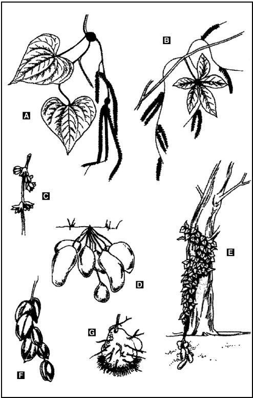 Иллюстрация к книге — Выживание в экстремальных ситуациях. Опыт SAS [i_103.jpg]