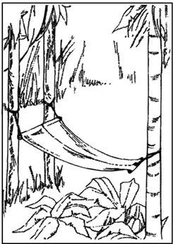 Иллюстрация к книге — Выживание в экстремальных ситуациях. Опыт SAS [i_109.jpg]