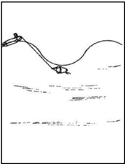 Иллюстрация к книге — Выживание в экстремальных ситуациях. Опыт SAS [i_121.jpg]