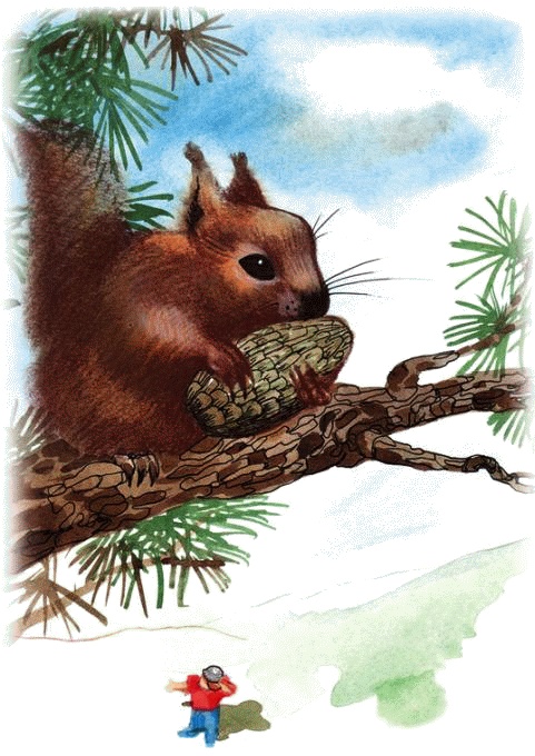 Иллюстрация к книге — Денис-изобретатель. Книга для развития изобретательских способностей детей младших и средних классов [_001.jpg]