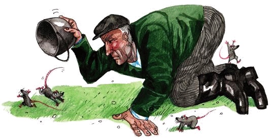 Иллюстрация к книге — Денис-изобретатель. Книга для развития изобретательских способностей детей младших и средних классов [_021.jpg]