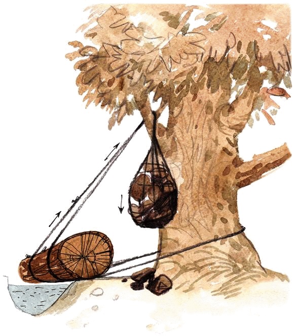 Иллюстрация к книге — Денис-изобретатель. Книга для развития изобретательских способностей детей младших и средних классов [_056.jpg]