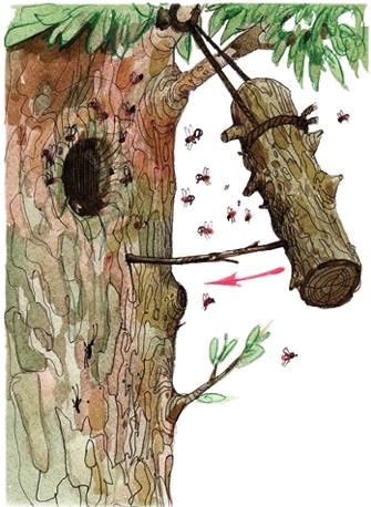 Иллюстрация к книге — Денис-изобретатель. Книга для развития изобретательских способностей детей младших и средних классов [_072.jpg]