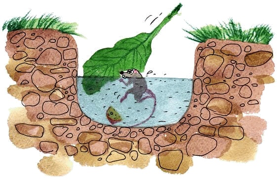 Иллюстрация к книге — Денис-изобретатель. Книга для развития изобретательских способностей детей младших и средних классов [_098_1.jpg]