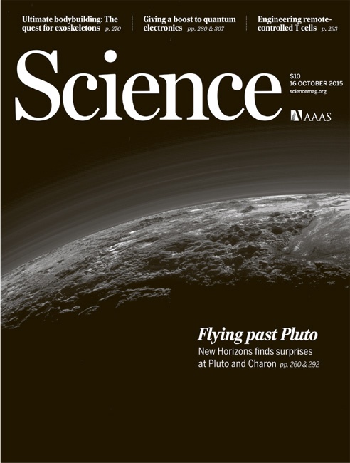 Иллюстрация к книге — За новыми горизонтами [i_049.jpg]