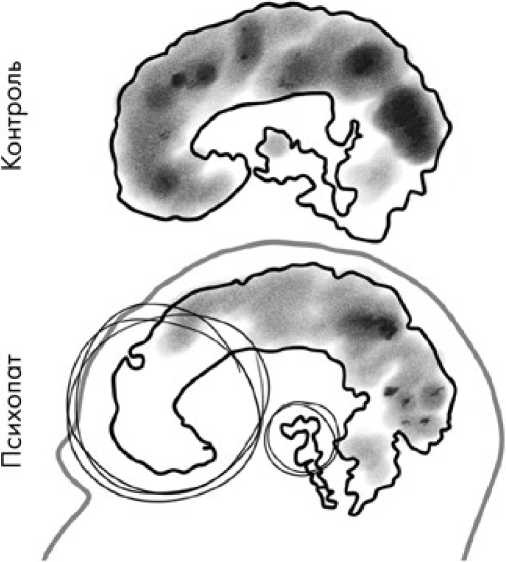 Иллюстрация к книге — Психология зла [i_002.jpg]