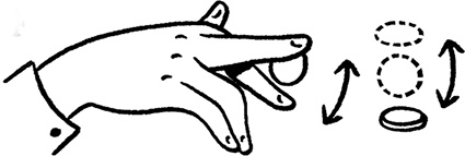 Иллюстрация к книге — Волшебные неудачники [i_023.jpg]