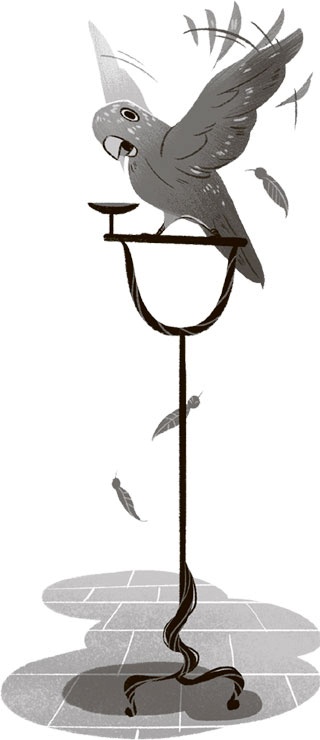 Иллюстрация к книге — Волшебные неудачники. Приключения продолжаются [i_017.jpg]