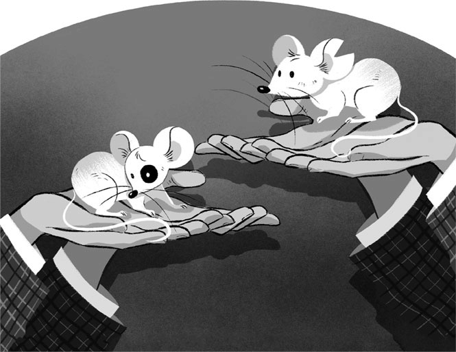 Иллюстрация к книге — Волшебные неудачники. Приключения продолжаются [i_047.jpg]