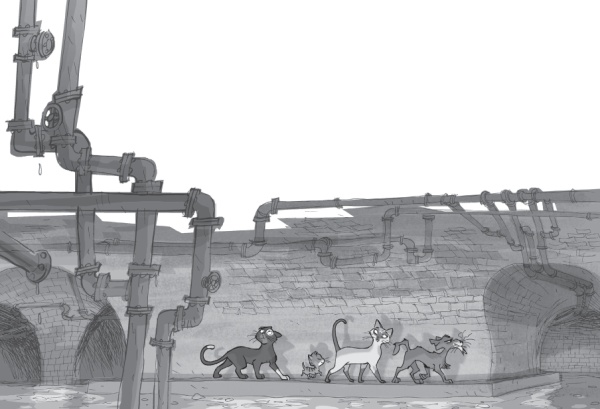 Иллюстрация к книге — Кто похитил короля кухни? [i_029.jpg]