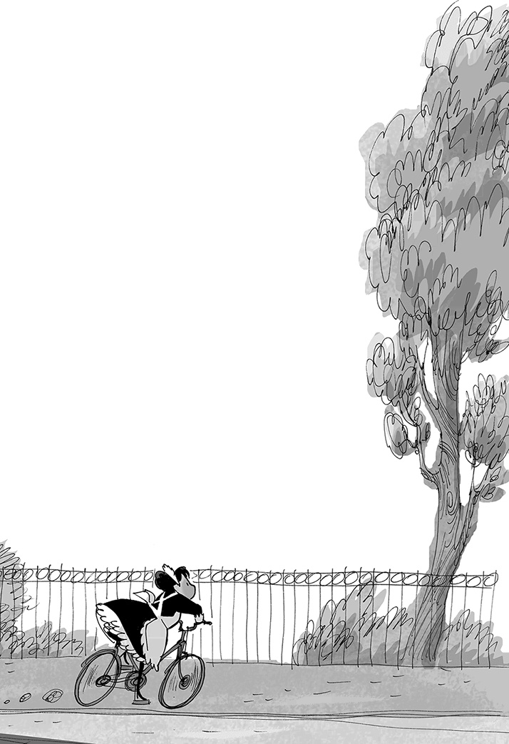 Иллюстрация к книге — Таинственное исчезновение золотого кота [i_018.jpg]