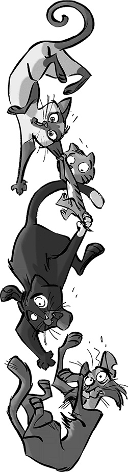 Иллюстрация к книге — Таинственное исчезновение золотого кота [i_021.jpg]