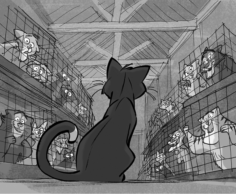 Иллюстрация к книге — Таинственное исчезновение золотого кота [i_025.jpg]