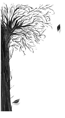 Иллюстрация к книге — Потерянные сказки [i_038.jpg]