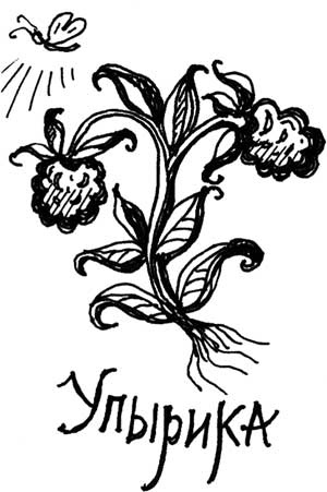 Иллюстрация к книге — Влада и тайный призрак [i_022.jpg]