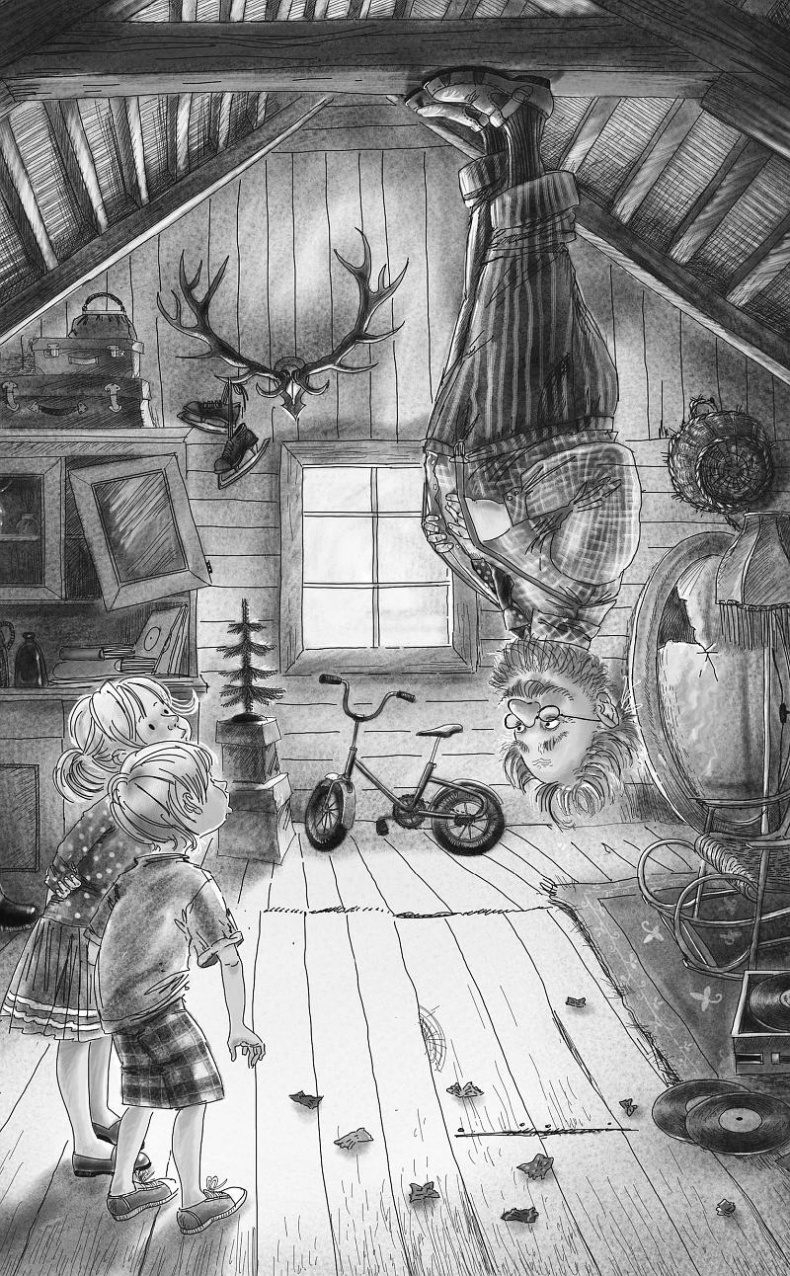 Иллюстрация к книге — Шоколадный дедушка. Тайна старого сундука [i_008.jpg]