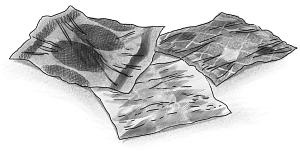 Иллюстрация к книге — Шоколадный дедушка. Тайна старого сундука [i_010.jpg]