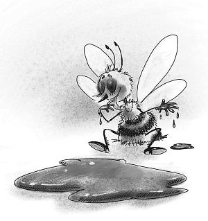 Иллюстрация к книге — Шоколадный дедушка. Тайна старого сундука [i_088.jpg]