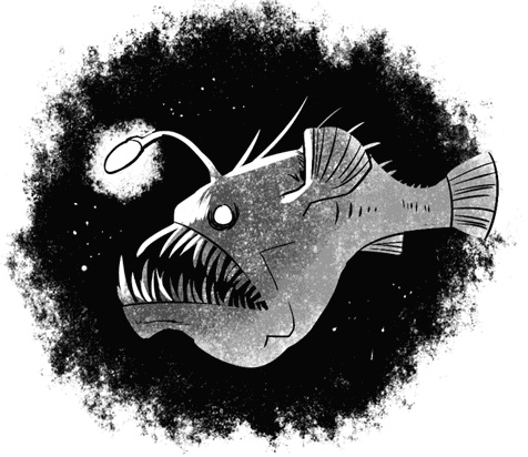 Иллюстрация к книге — Лис, два мира, полвампира [i_027.jpg]