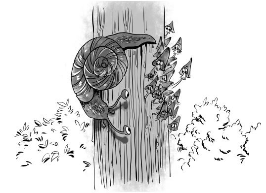 Иллюстрация к книге — Таинственная планета [i_002.jpg]