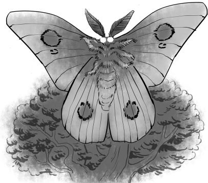 Иллюстрация к книге — Таинственная планета [i_004.jpg]