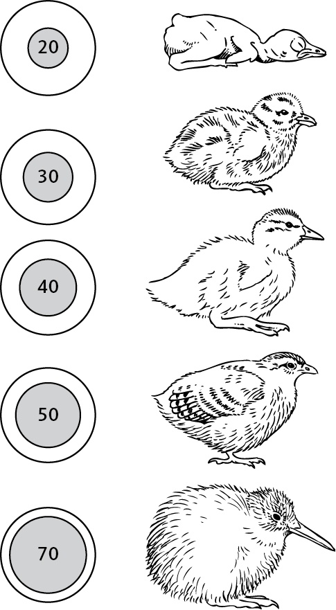 Иллюстрация к книге — Самая совершенная вещь на свете [i_012.jpg]