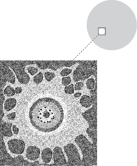 Иллюстрация к книге — Самая совершенная вещь на свете [i_015.jpg]