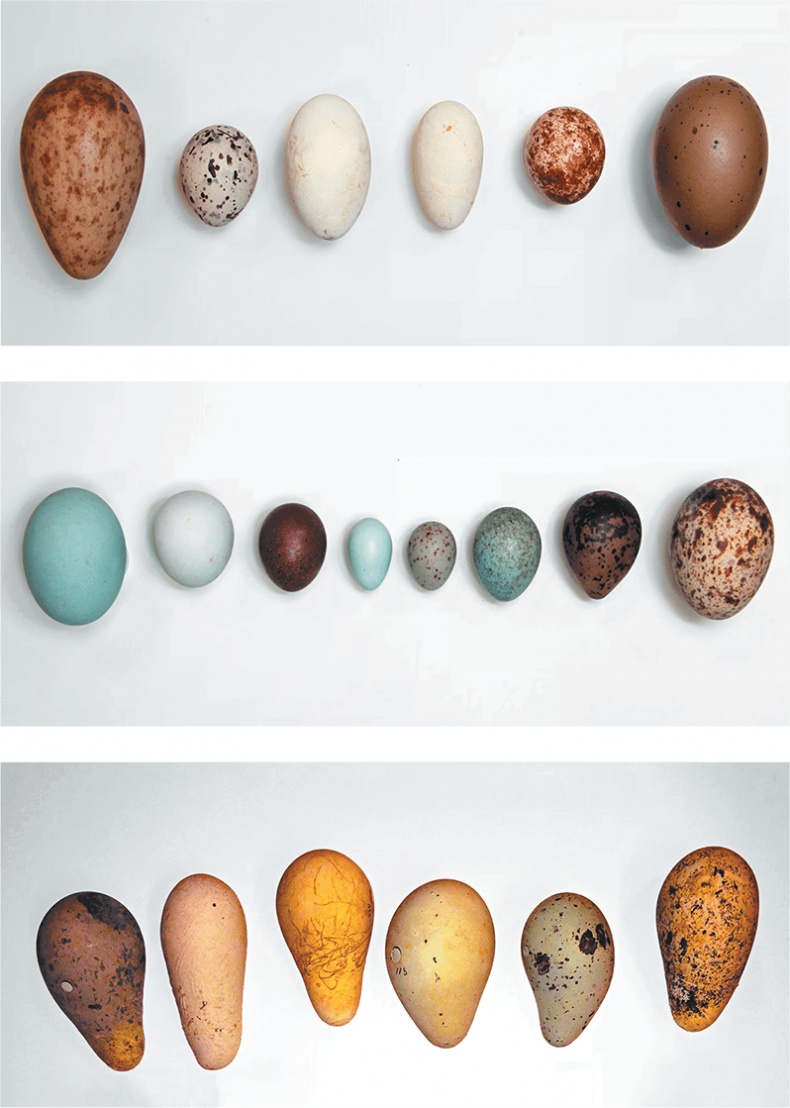 Иллюстрация к книге — Самая совершенная вещь на свете [i_021.jpg]