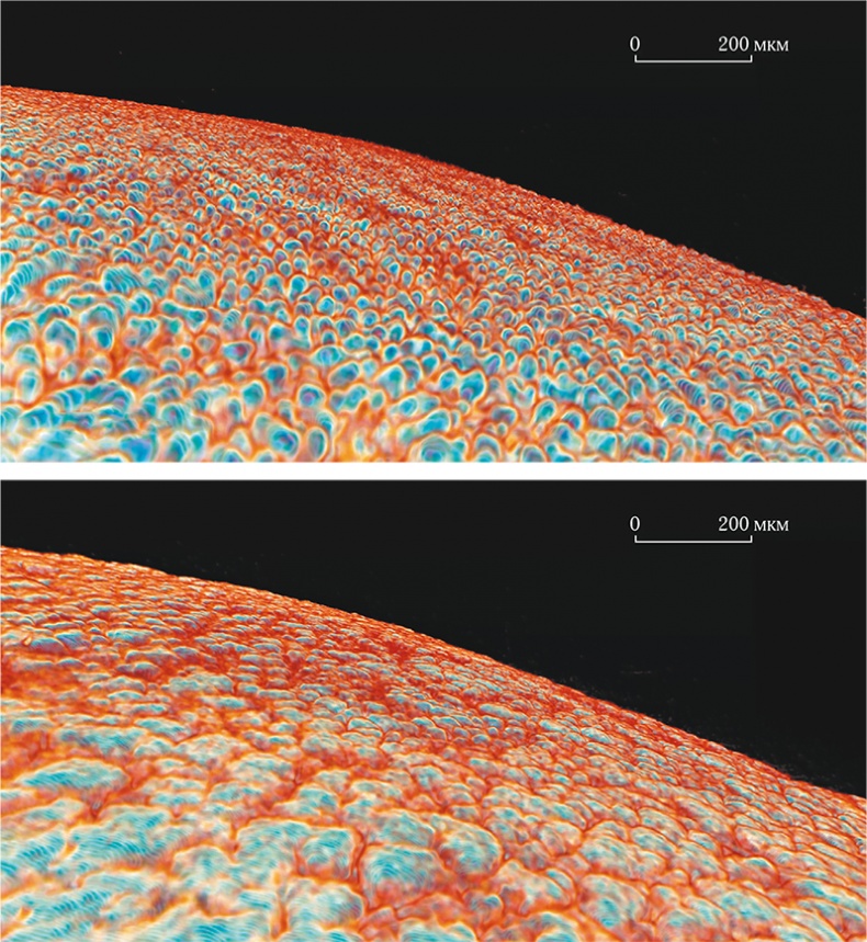 Иллюстрация к книге — Самая совершенная вещь на свете [i_026.jpg]