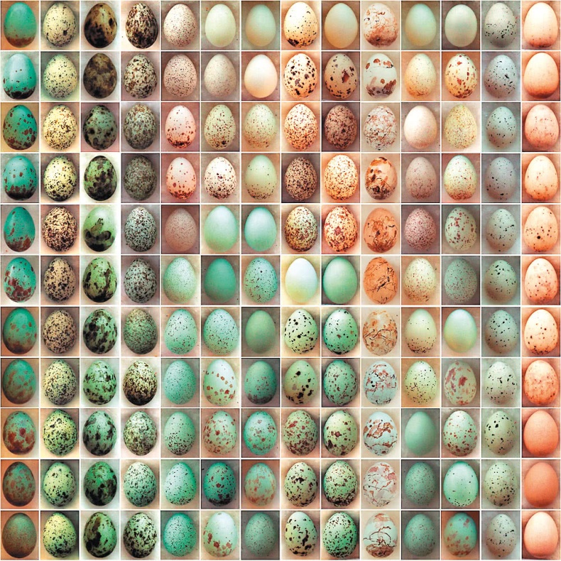 Иллюстрация к книге — Самая совершенная вещь на свете [i_028.jpg]