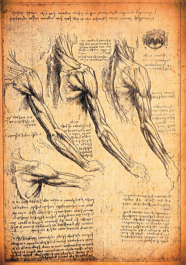 Иллюстрация к книге — Средневековье. Большая книга истории, искусства, литературы [i_062.jpg]