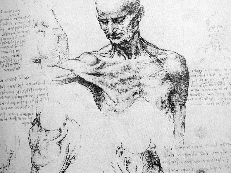 Иллюстрация к книге — Средневековье. Большая книга истории, искусства, литературы [i_063.jpg]